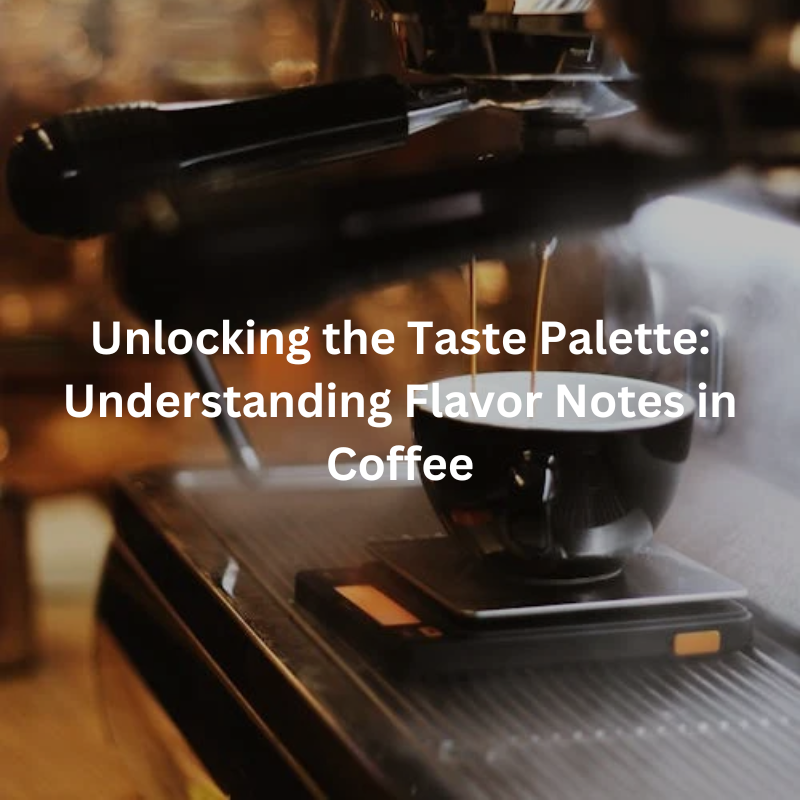 Unlocking the Taste Palette: Understanding Flavor Notes in Coffee