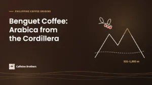 Featured image: Benguet Coffee, Arabica from the Cordillera, with mountain line art, a coffee branch with cherries and the elevation range 531–1,800 m