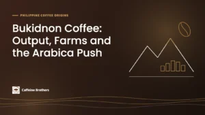Caffeine Brothers graphic titled Bukidnon Coffee: Output, Farms and the Arabica Push, with line art of mountains, small bars and a coffee bean.