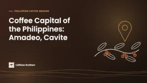 Caffeine Brothers featured image: Coffee Capital of the Philippines: Amadeo, Cavite, with a map pin above a coffee branch with red cherries