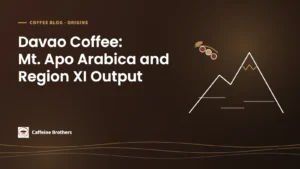 Caffeine Brothers featured image: Davao Coffee, Mt. Apo Arabica and Region XI Output, with a line drawing of a mountain and coffee cherries