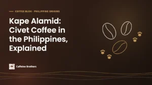 Caffeine Brothers featured image: Kape Alamid: Civet Coffee in the Philippines, Explained, with line drawings of coffee beans and civet paw prints