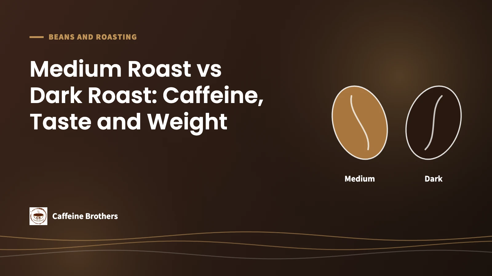 Medium roast vs dark roast coffee: a medium-brown bean next to a dark bean