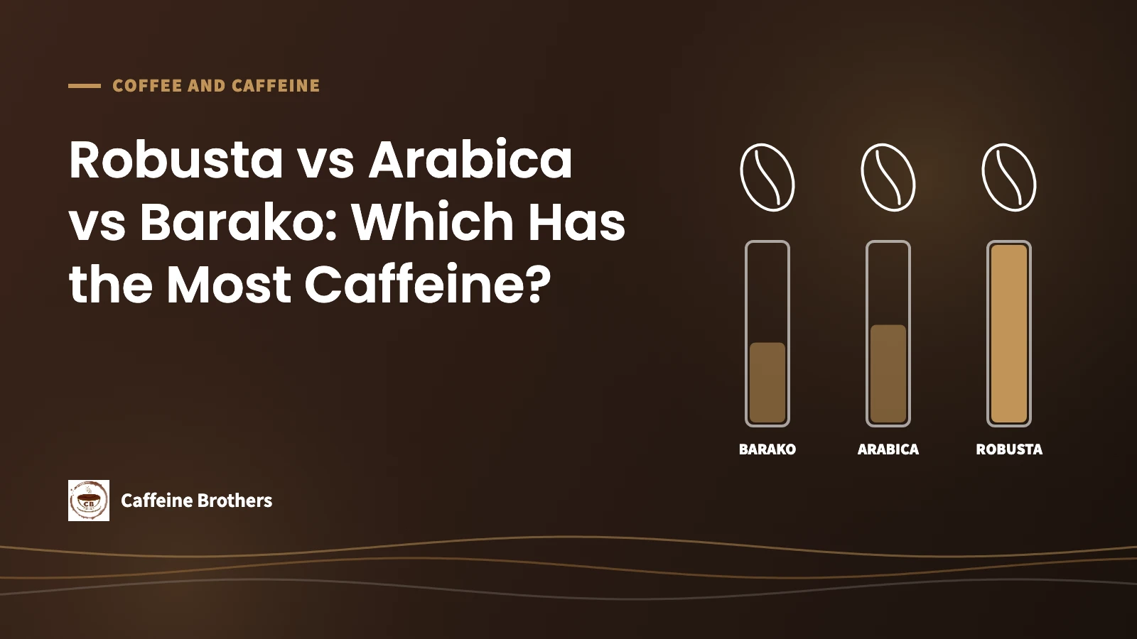 Featured image: Robusta vs Arabica vs Barako, Which Has the Most Caffeine? Three coffee beans with level bars, Robusta highest.