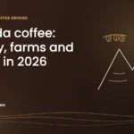 Line drawing of terraced mountains with coffee cherries and a coffee bean, with the title Sagada coffee: history, farms and prices in 2026